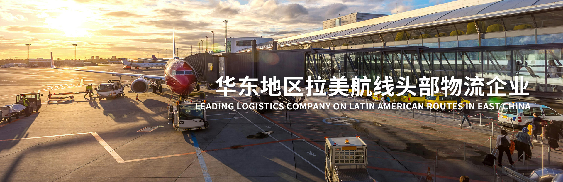 Ningbo BlueWhale Supply Chain Co.,Ltd.