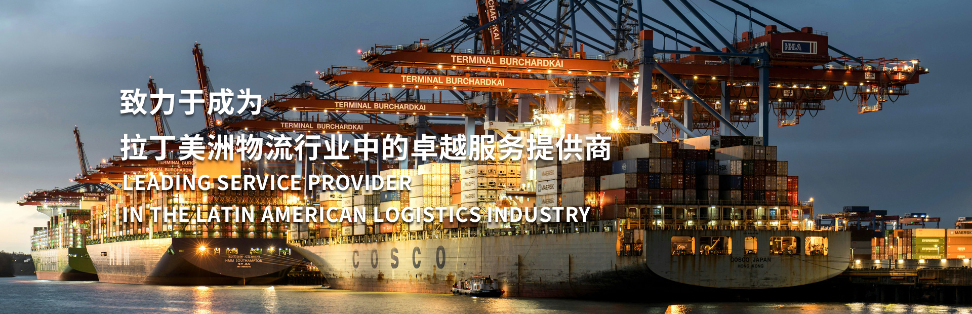 Ningbo BlueWhale Supply Chain Co.,Ltd.